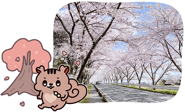 ���̉�L�V�[���ʐ^