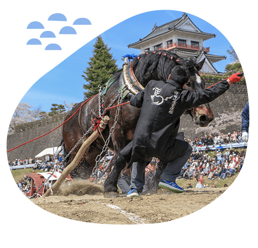 ���k�m�n���Z���