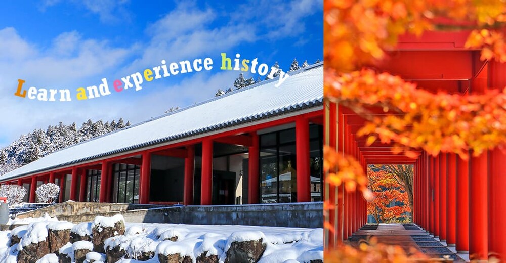 �V����܂�� �V�[���ʐ^