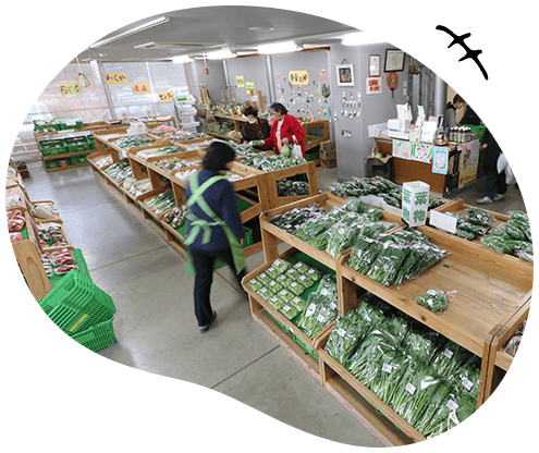 �킭��Y���Z���^�[�����̋�