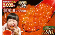Y t  120g~2