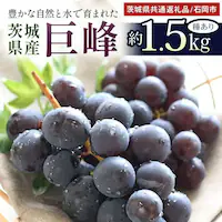  1.5kgi킠j