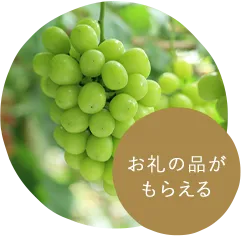 �񕍂��鎩���̂�I�ׂ�