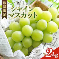 2025N s\ VC}XJbg ʌ 2kg _ Ԍ ʕ t[c uhE  Ԃǂ 8{ȍ~ ① ʎs 70-J