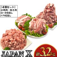 YJAPAN X@ؓoGeBZbg@3.2kg@y04301-0366z