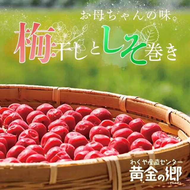 �����̋� ���ꂿ���̖� �~�����Ƃ��������Z�b�g