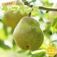 FYN6-165 p R`Y m EtX 3.2kg(8`10) 2025N11{珇 m mȂ tX Hʎ ʕ  t[c  蕨 Mtg v[g 3kg Yn R` 쒬 R