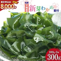 yt񂩂̂킯zV킩 300g(100g~3) [ނ {錧 Cs 20564375] 킩 J  C Y O X`  O킩