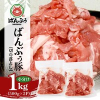 ΂Ԃ 500g~2P