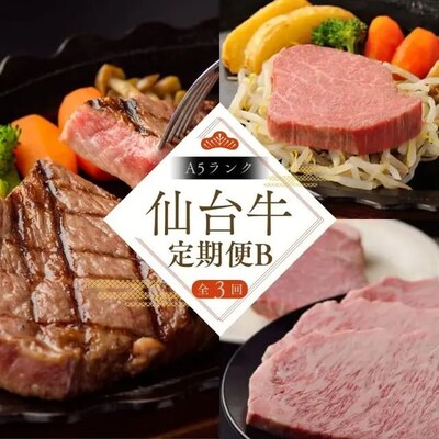 �y�S3�� ����� �z A5 ��䋍 �����