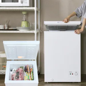 Ⓚ100L