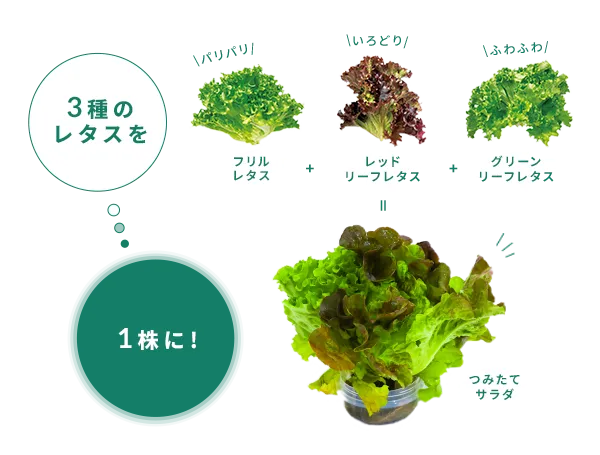 3���1����