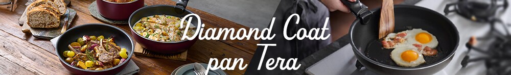 TERACOAT