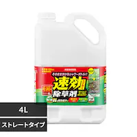 4L WSJ-4L 