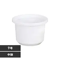 eBg 9 zCg