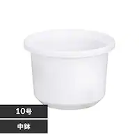 eBg 10 zCg