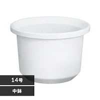 eBg 14 zCg