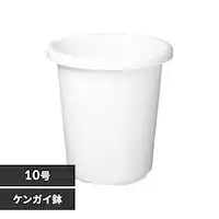 eBgPKC 10 zCg