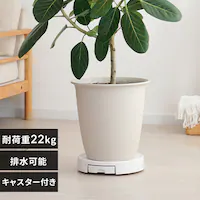 炭炭g[ RHT-30 zCg