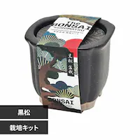 The BONSAI ͔|Zbg GD-99201 yvUZNgz