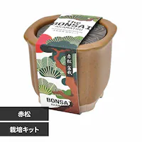 The BONSAI ͔|Zbg GD-99202 ԏyvUZNgz