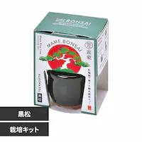 HACO MAME ~͍͔|Zbg GD-96501 yvUZNgz