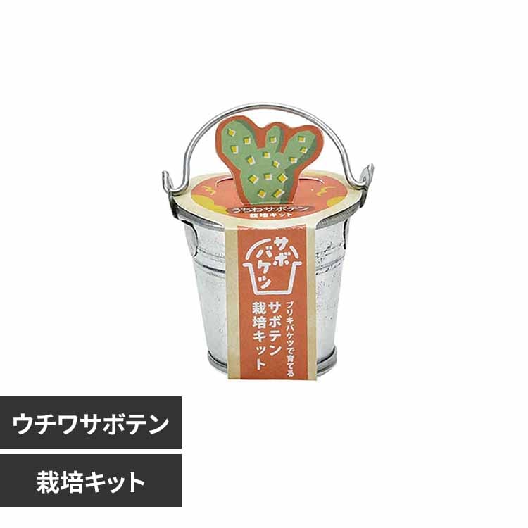 ⭐️めいこ⭐️訳あり新品・未使用車eleganza エレガンツァPELTECH 雷魚ロッド 買取！ バレーヒル ガンガンゼロ GGZ-77XX