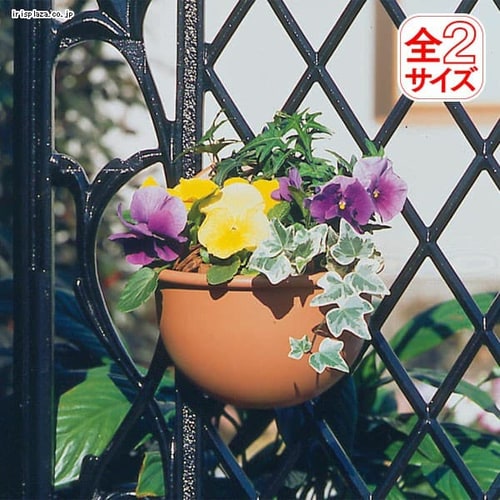 代引き不可】 ハンギングバスケット 吊り鉢 フックタイプ 幅25cm アイリスオーヤマ610円 sarozambia.com