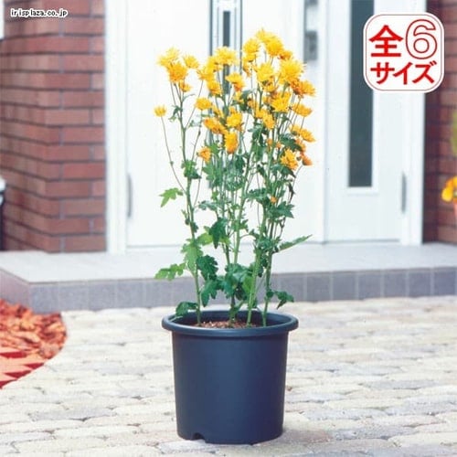 園芸用品の通販 ガーデンアウトレット アウトレット アイリスプラザ アイリスオーヤマ公式通販サイト 園芸用品の通販 ガーデンアウトレット アウトレット アイリスプラザ アイリスオーヤマ公式通販サイト