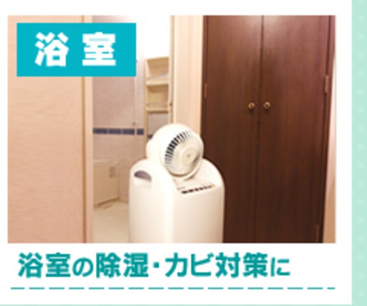 浴室の除湿・カビ対策に