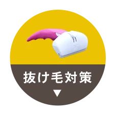 ё΍