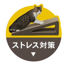 XgX΍