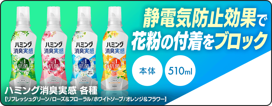 �n�~���O ���L����