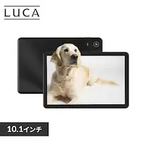 ^ubg 10C` 64GB C4GB 8RA [J[ یtBW LUCA TE10D2M64-V1B ubN