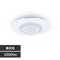 ^V[OCg  1000lm F SCL100D-PKmBn