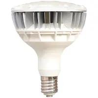 yHKvzE39 oXgXⓔ LDR100-200V25L8-H/E39-40WH3 zCg