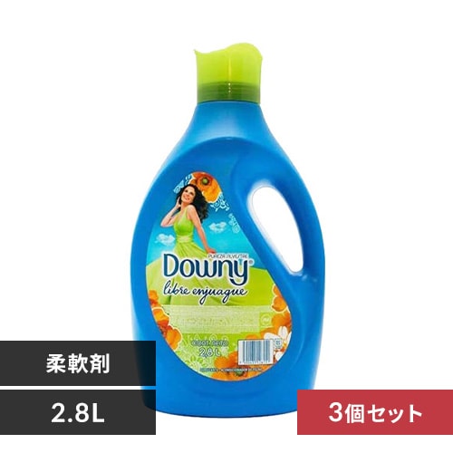 アジアンダウニー オドープリベンション 4.0L
