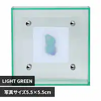 O[otHRN[g THRU.LIGHT 4x4 THRUA00303 LIGHTGREENyvUZNgz