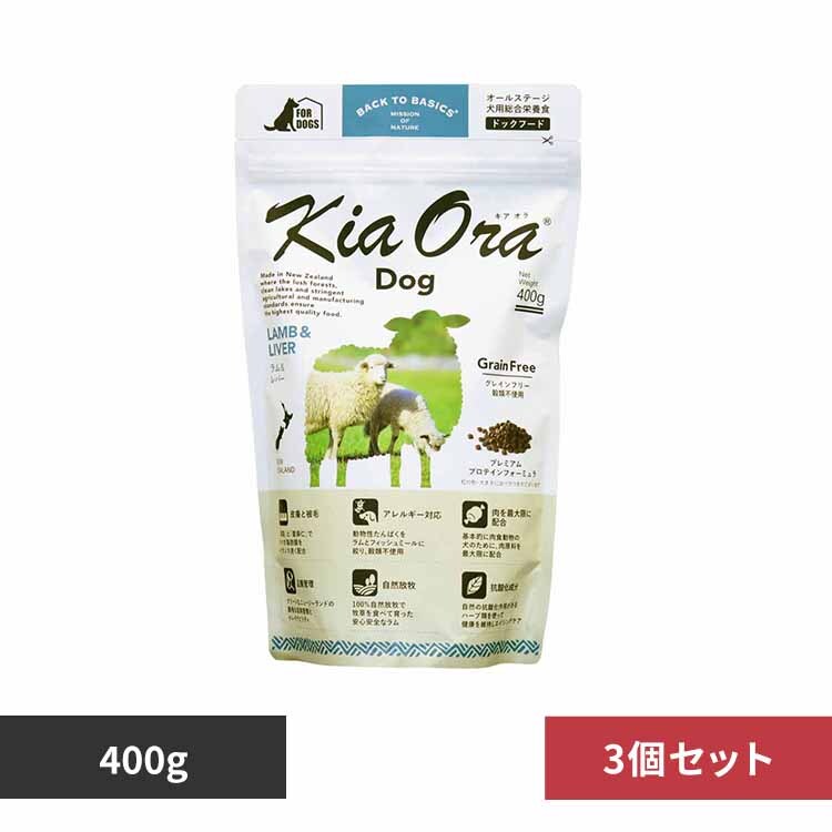 極液 200本 新品 同等品 送料無料 激安 4N-700AACL相当品（SANYO Twicell相当）自動加圧ポンプ 内蔵電池