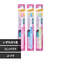 LION VXe} nOLvXnuV RpNg ӂ yvUZNgz