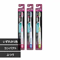 LION VXe} nuV э^Cv RpNg ӂ yvUZNgz