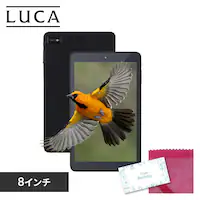 ^ubg 8C` y 64GB C4GB 8RA [J[ LUCA TE084M4V1-B ubN