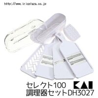 yLzZNg100@ZbgDH3027