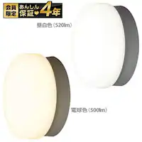 LED|[` p ی` F 500lm CL5L-CIPLS-BS