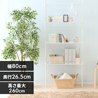 y9%OFFz˂ǖʎ[bN TWR-800 Ch/zCg