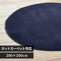 O tl ~` 200~200cm FNR-RCR-2020 lCr[