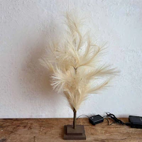 SOW u`c[ ppX 60cm BRXT2530 yvUZNgz