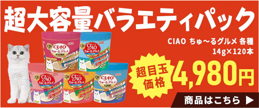 CIAO `O ܂CNoGeB ڋʉi 4,980~