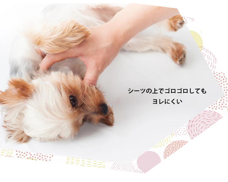 【56枚】 超厚型 超吸収ペットシーツ ワイド19