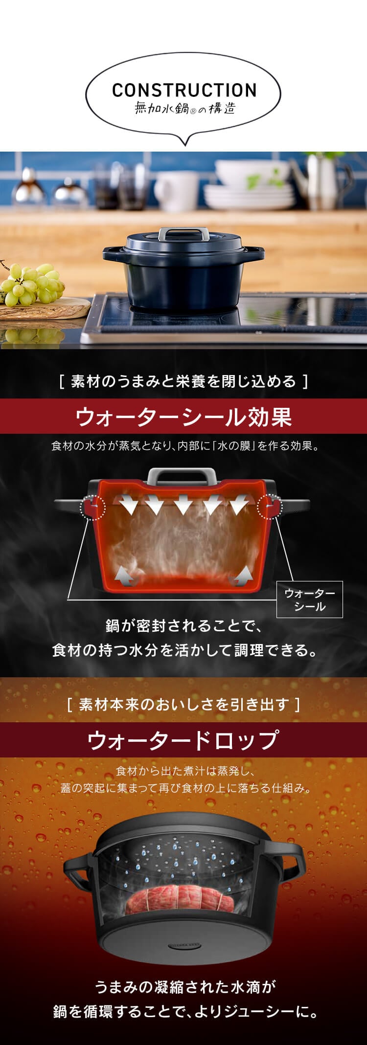 鍋 無加水鍋 20cm IH/ガス火対応 COTOCO MKSN-S20 ビーツレッド4